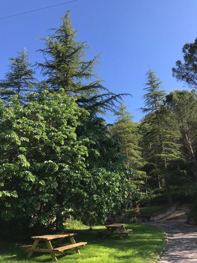 Els Avets De La Muga Bed & Breakfast Sant Llorenc de la Muga ภายนอก รูปภาพ