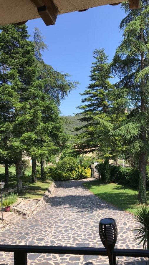 Els Avets De La Muga Bed & Breakfast Sant Llorenc de la Muga ภายนอก รูปภาพ